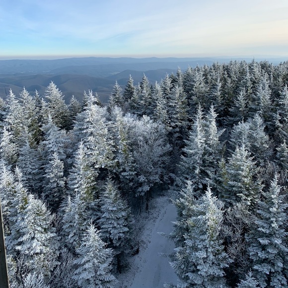 Meet your Posher, Meg - Picture 1 of 1